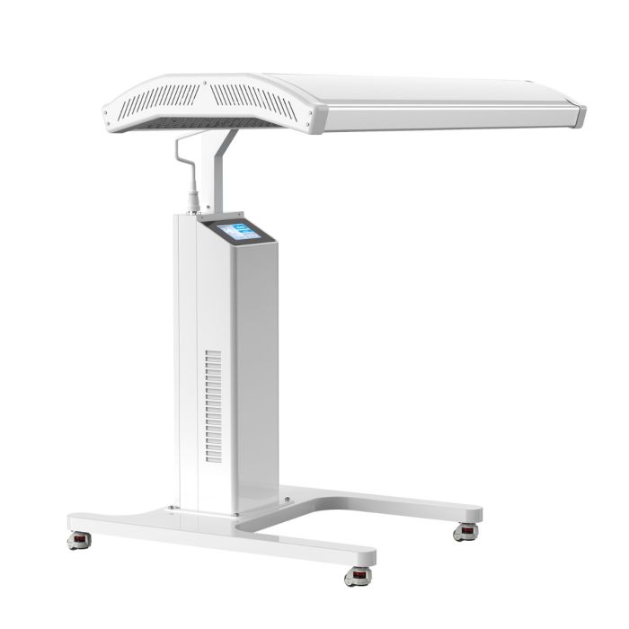 Evolution Intra System